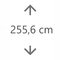 H 255,6 cm