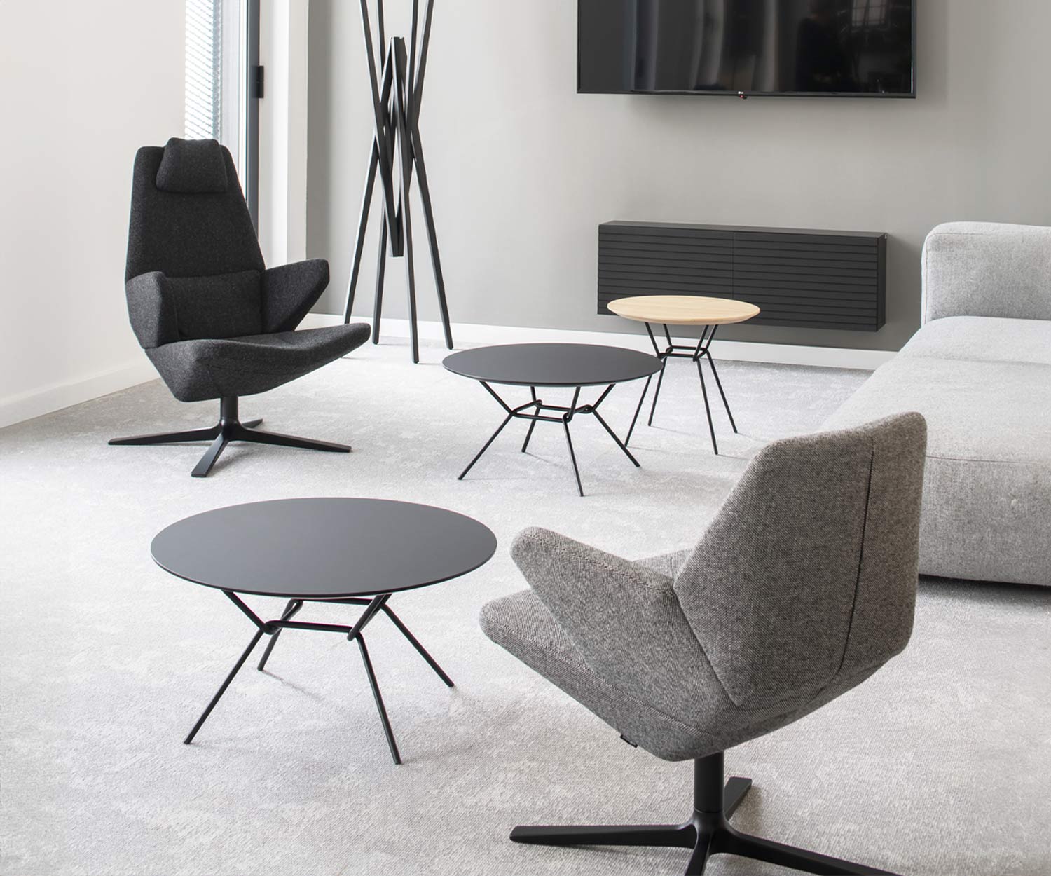 Prostoria Fauteuil Trifidae Prostoria Fauteuil Trifidae