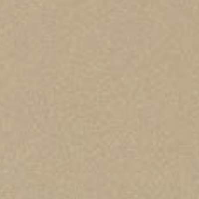 Latte Beige 125